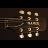 The Hamer Archtop