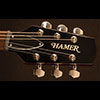 The Hamer Archtop